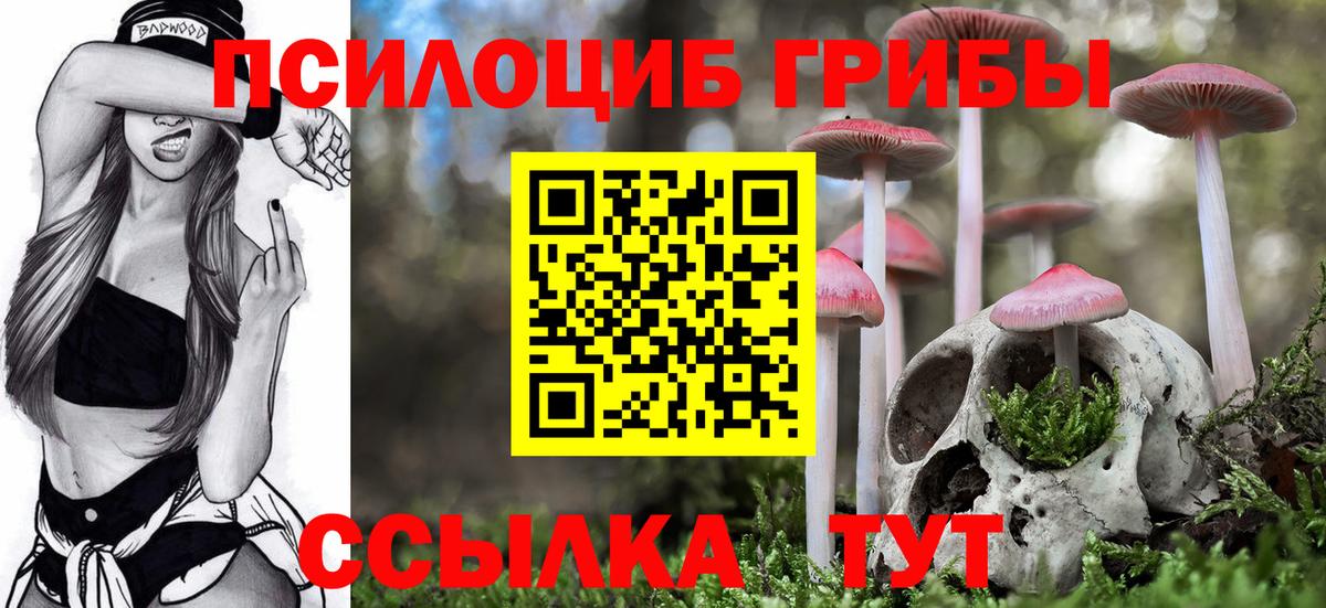 Галлюциногенные грибы Cubensis  Вход с VPN  Феодосия 